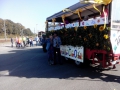 IMG_20141004_144804