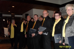 Sängerball 2014