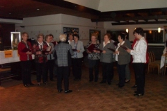 Sängerball 2011